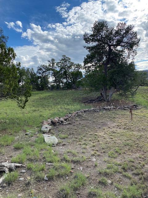 233 Turquoise Trail Datil, NM 87821 - Photo 44 of 46 Gallery Image 44