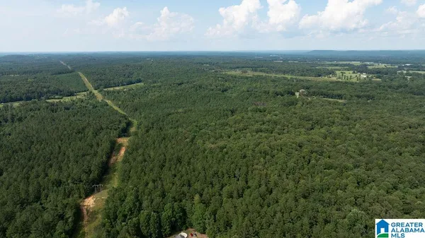 $359,900 | 0 Wilkinson Road, Fayette, AL 35555