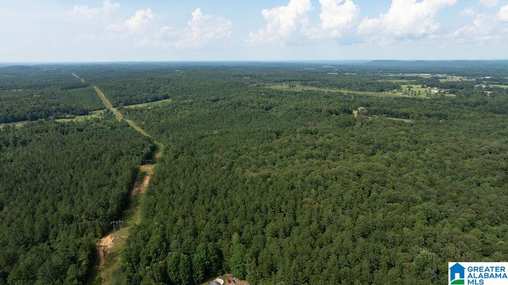 0 Wilkinson Road Fayette, AL 35555 - Photo 1 of 11