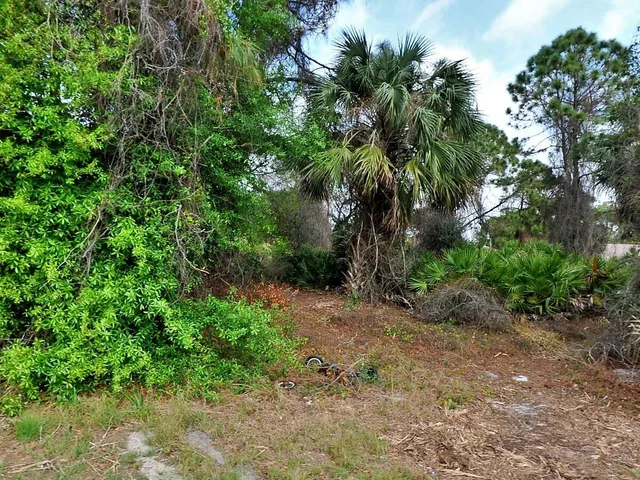 $28,000 | Tbd Trilby Avenue, North Port, FL 34286