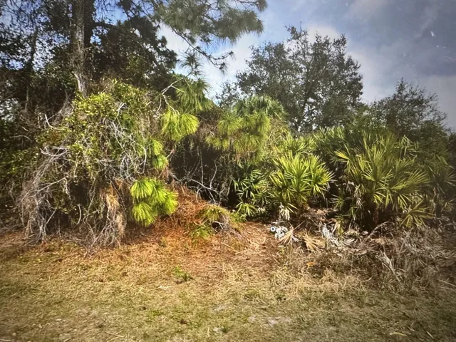 $28,000 | Tbd Trilby Avenue, North Port, FL 34286