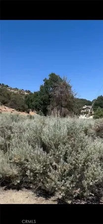 a view of a lake in middle of the forest