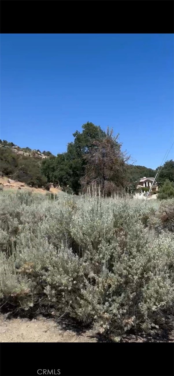 24151 Jacaranda Drive Tehachapi, CA 93561 - Photo 3 of 5 a view of a lake in middle of the forest