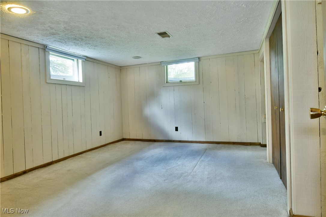 6509 Shaffer Road Northwest Warren, OH 44481 - Photo 50 of 50 Basement with plenty of natural light, carpet flooring, a textured ceiling, wood walls, and baseboards