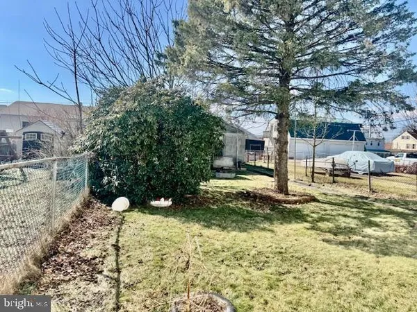 a view of a yard with plants and a tree