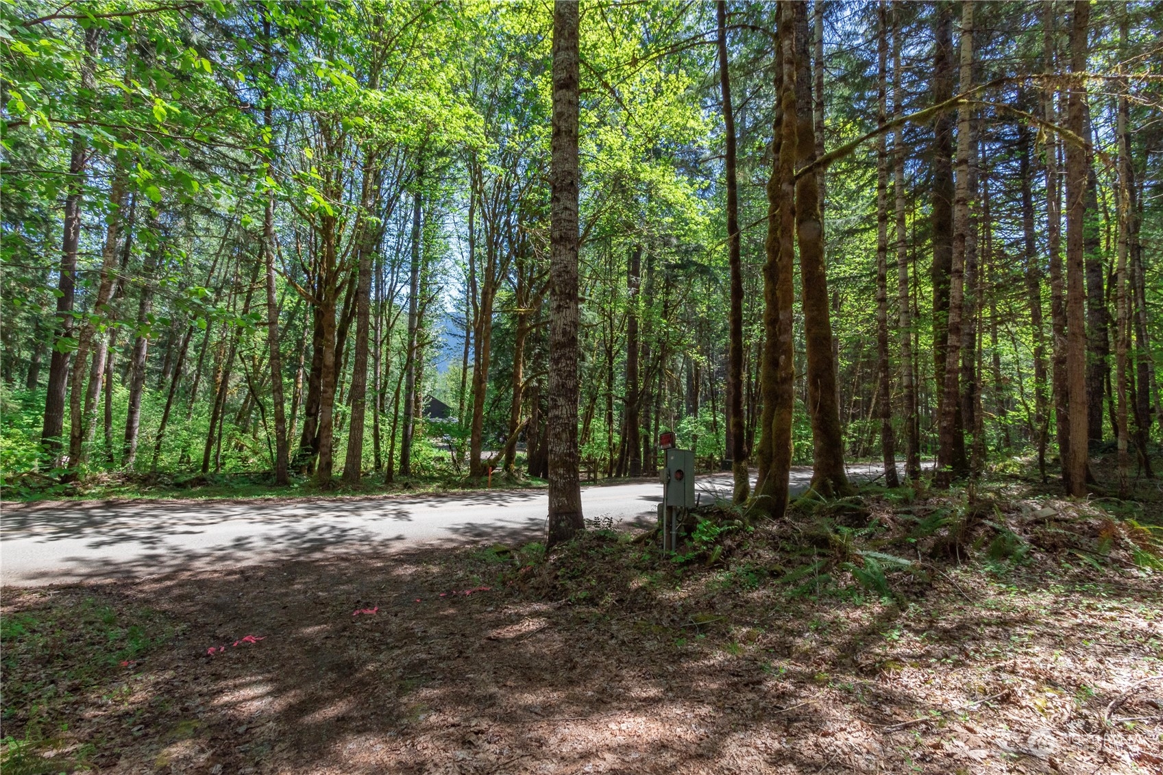 348 Craig Road Packwood, WA 98361 - Photo 14 of 20 Gallery Image 14