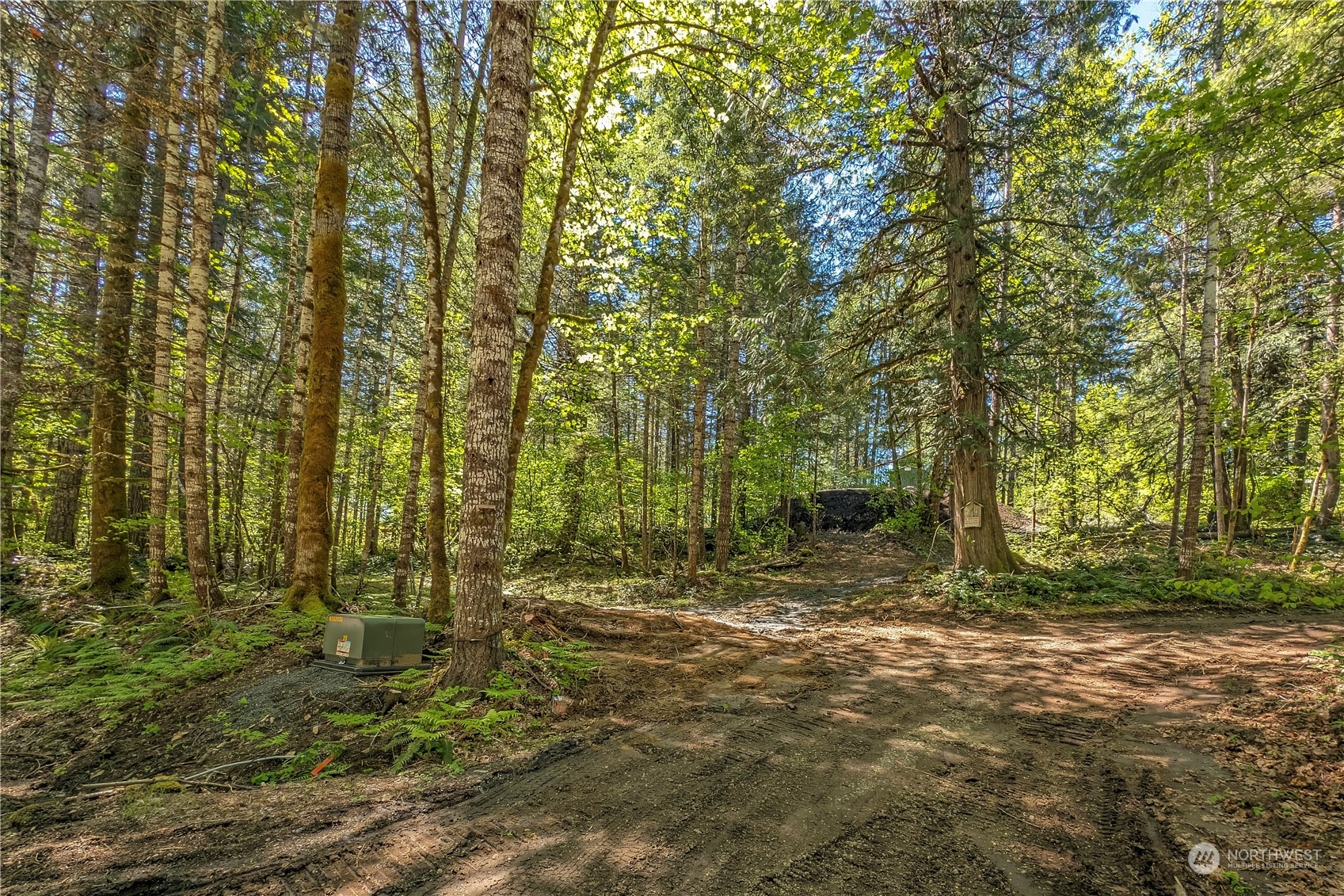 348 Craig Road Packwood, WA 98361 - Photo 8 of 20 Gallery Image 8