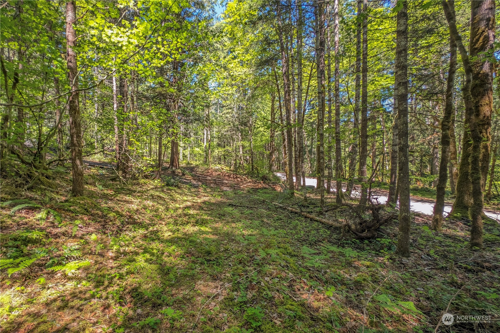 348 Craig Road Packwood, WA 98361 - Photo 9 of 20 Gallery Image 9