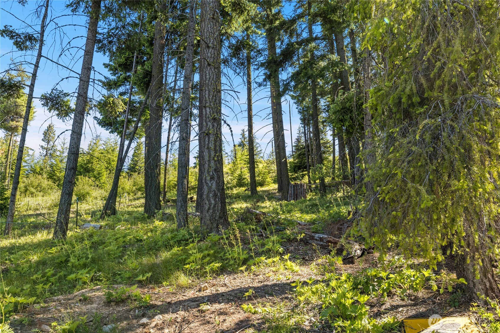 180 Horse Heaven Road Cle Elum, WA 98922 - Photo 7 of 24