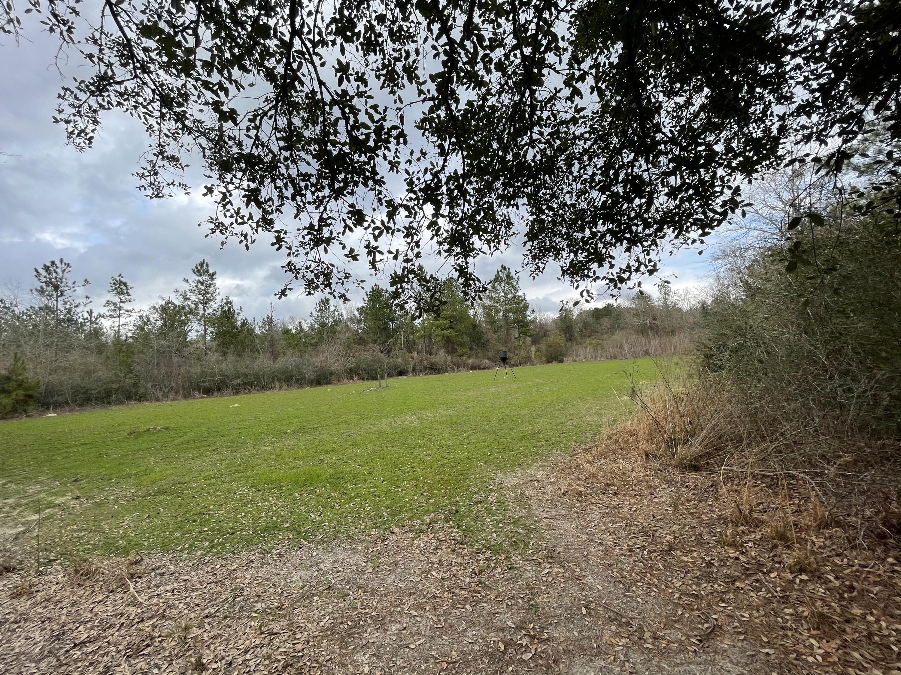 4 Baker Baker, FL 32531 - Photo 14 of 15 IMG_2740