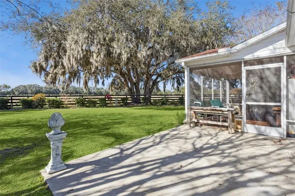 a view of a park with large trees