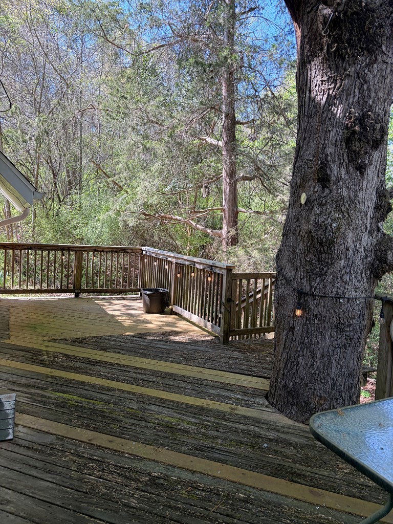 276 Wicksburg Road Newton, AL 36352 - Photo 49 of 51