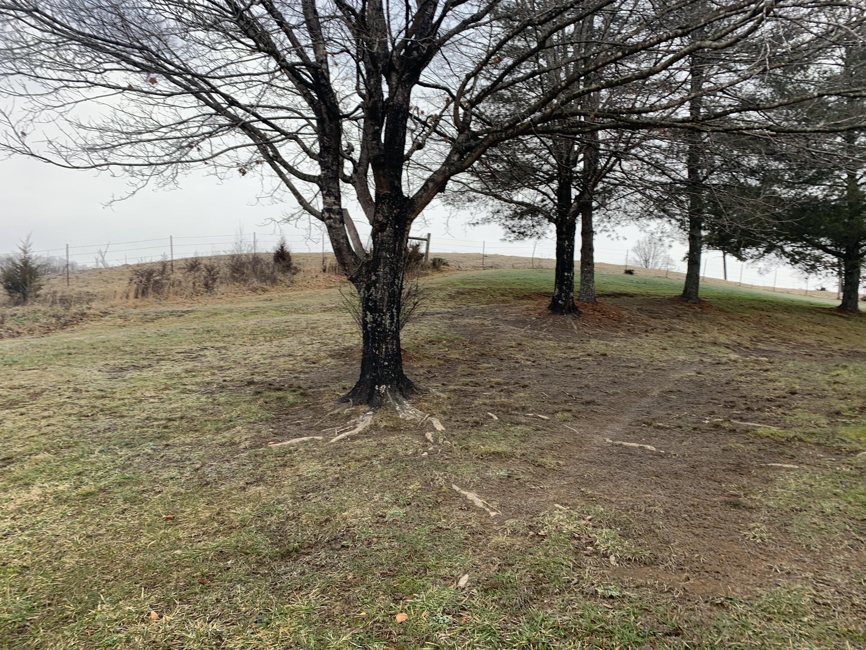 5145 Whitehouse Road Greeneville, TN 37745 - Photo 27 of 32 7698E84B-C227-4529-B46B-A8CAA22D55FD
