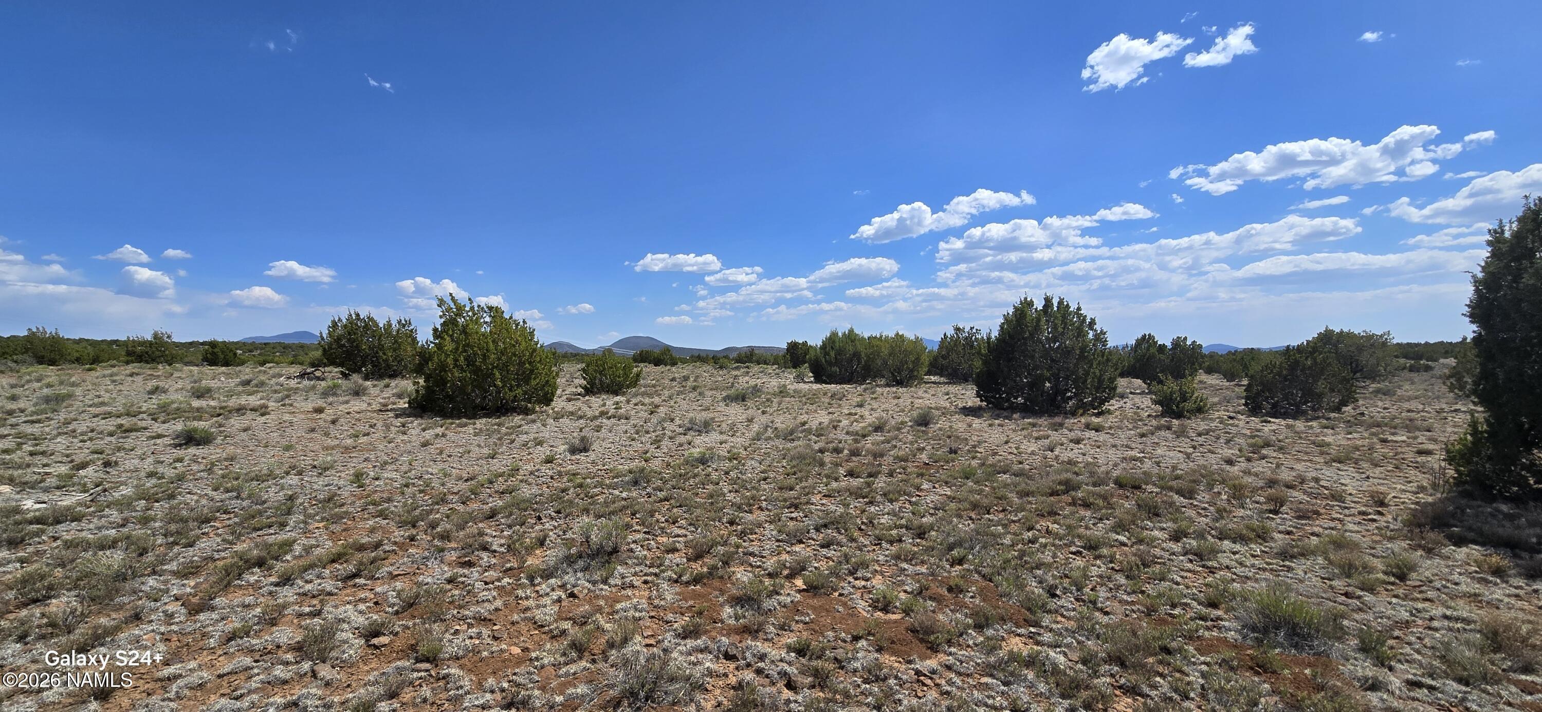 227 Mountain Cat Road Williams, AZ 86046 - Photo 1 of 13 a view of a dry yard with lots of green space