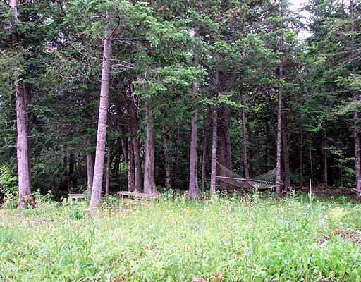 103 Morrison Road Houlton, ME 04730 - Photo 9 of 35 Land.