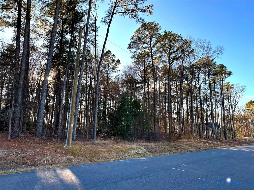 11561 Edinburgh Road Glen Allen, VA 23060 - Photo 3 of 4