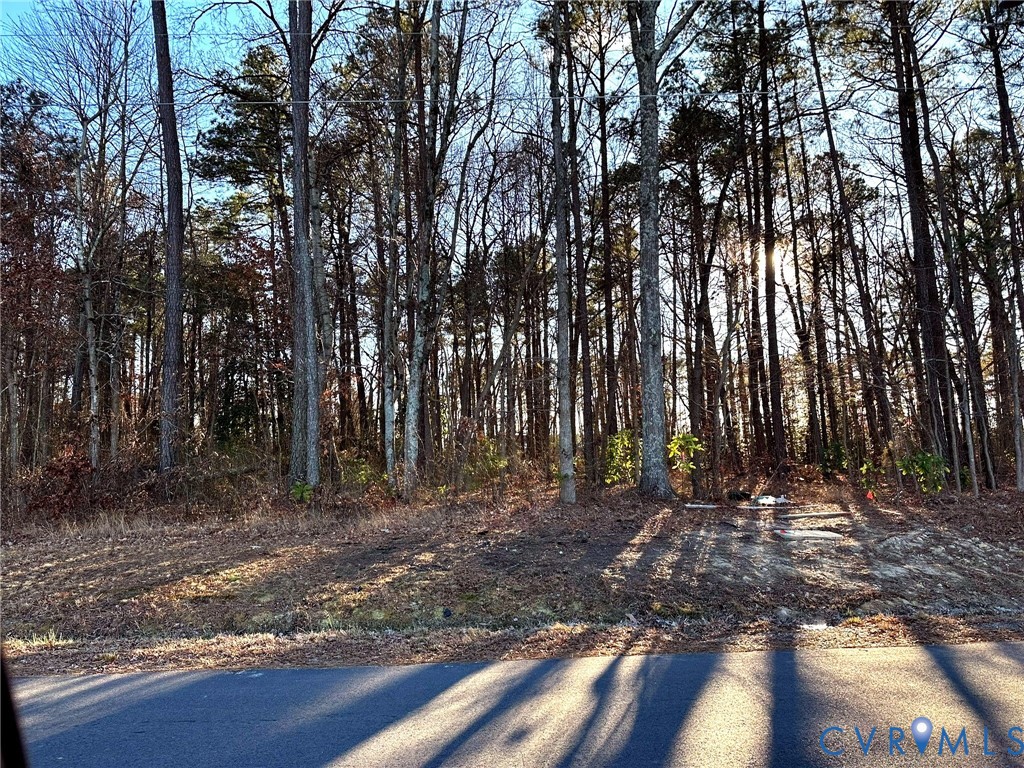 11561 Edinburgh Road Glen Allen, VA 23060 - Photo 4 of 4