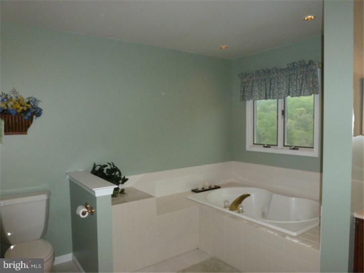 123 Longfields Way Downingtown, PA 19335 - Photo 14 of 25 Master Bathroom