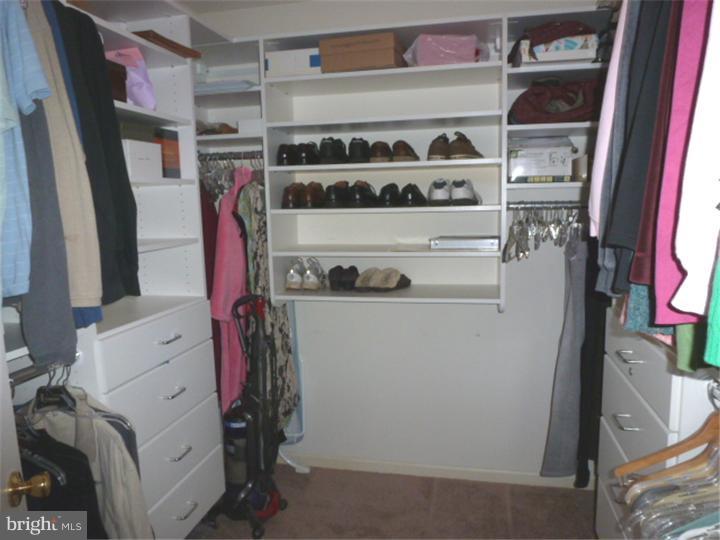 123 Longfields Way Downingtown, PA 19335 - Photo 15 of 25 Walk-in Closet
