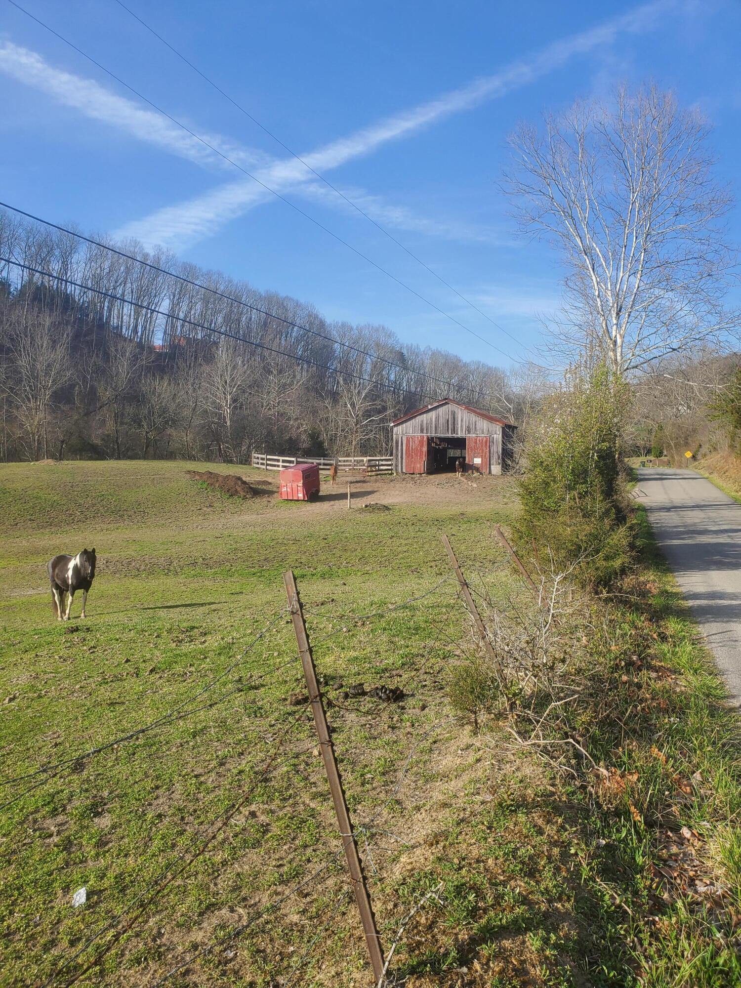 Tbd Taylor Road Fall Branch, TN 37656 - Photo 7 of 39 20220330_091122