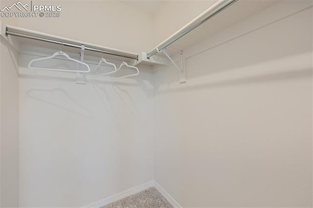 4806 Truscott Road Colorado Springs, CO 80925 - Photo 24 of 26 Gallery Image 24