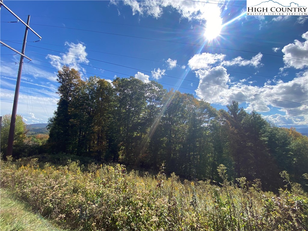 East Ridge Drive Boone, NC 28607 - Photo 3 of 6 a view of a yard