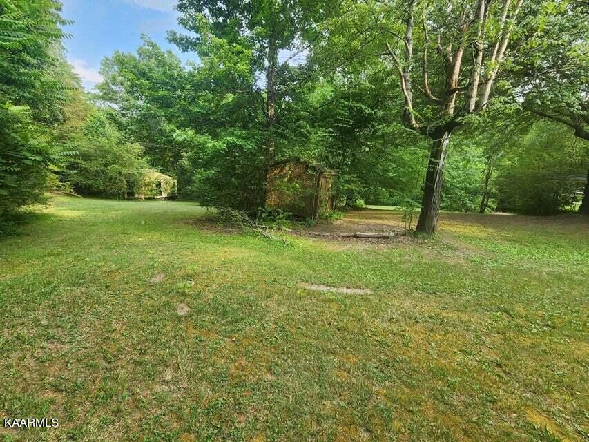 1031 Roberts Ridge Road Ten Mile, TN 37880 - Photo 6 of 21 a view of field with trees in the background