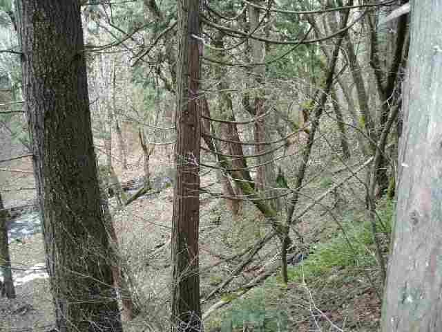 Lot #1 Audubon Road Mount Shasta, CA 96067 - Photo 4 of 5 Gallery Image 4