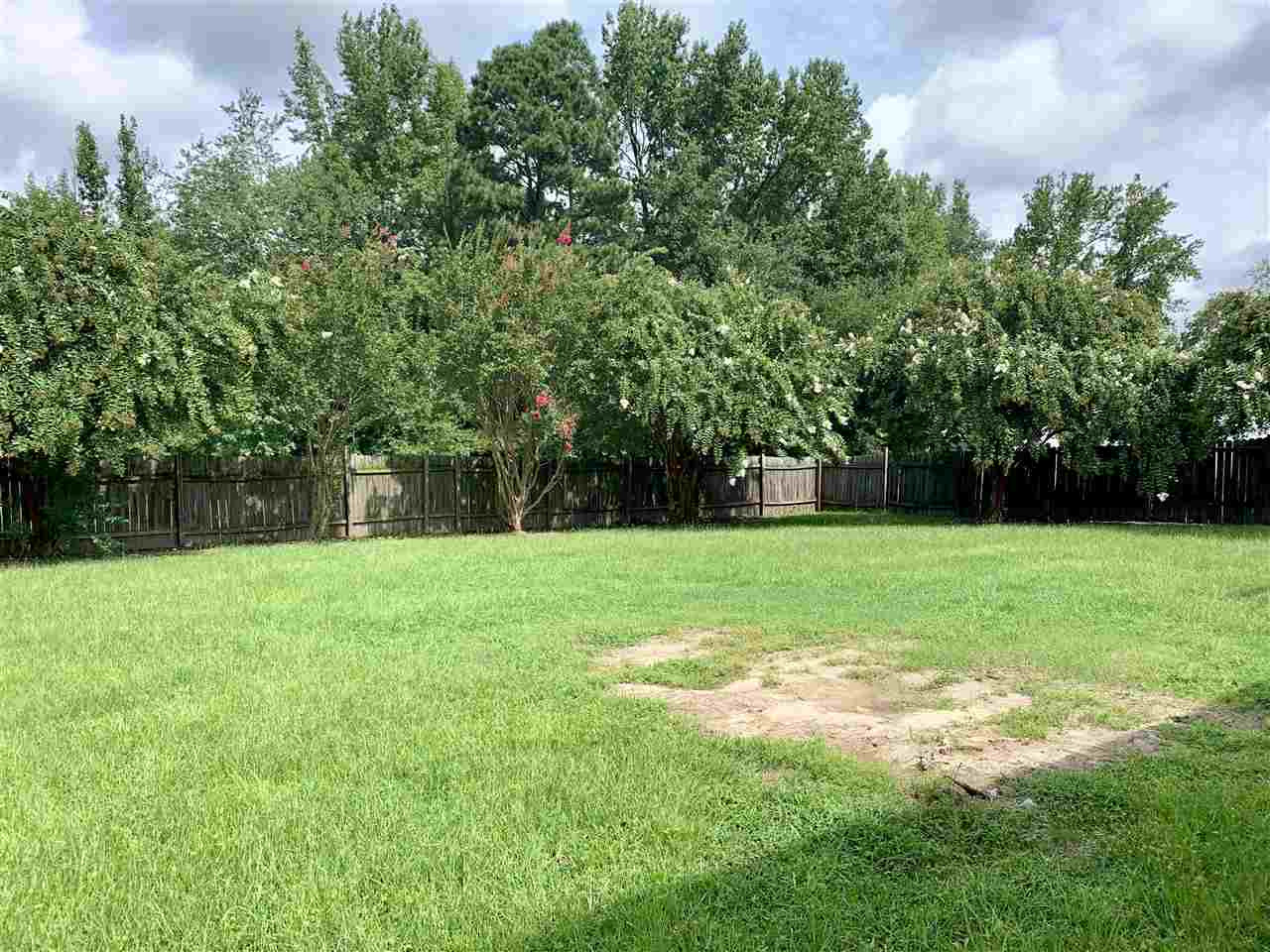 468 North Pleasant Coates Road Benson, NC 27504 - Photo 2 of 9 back Yard