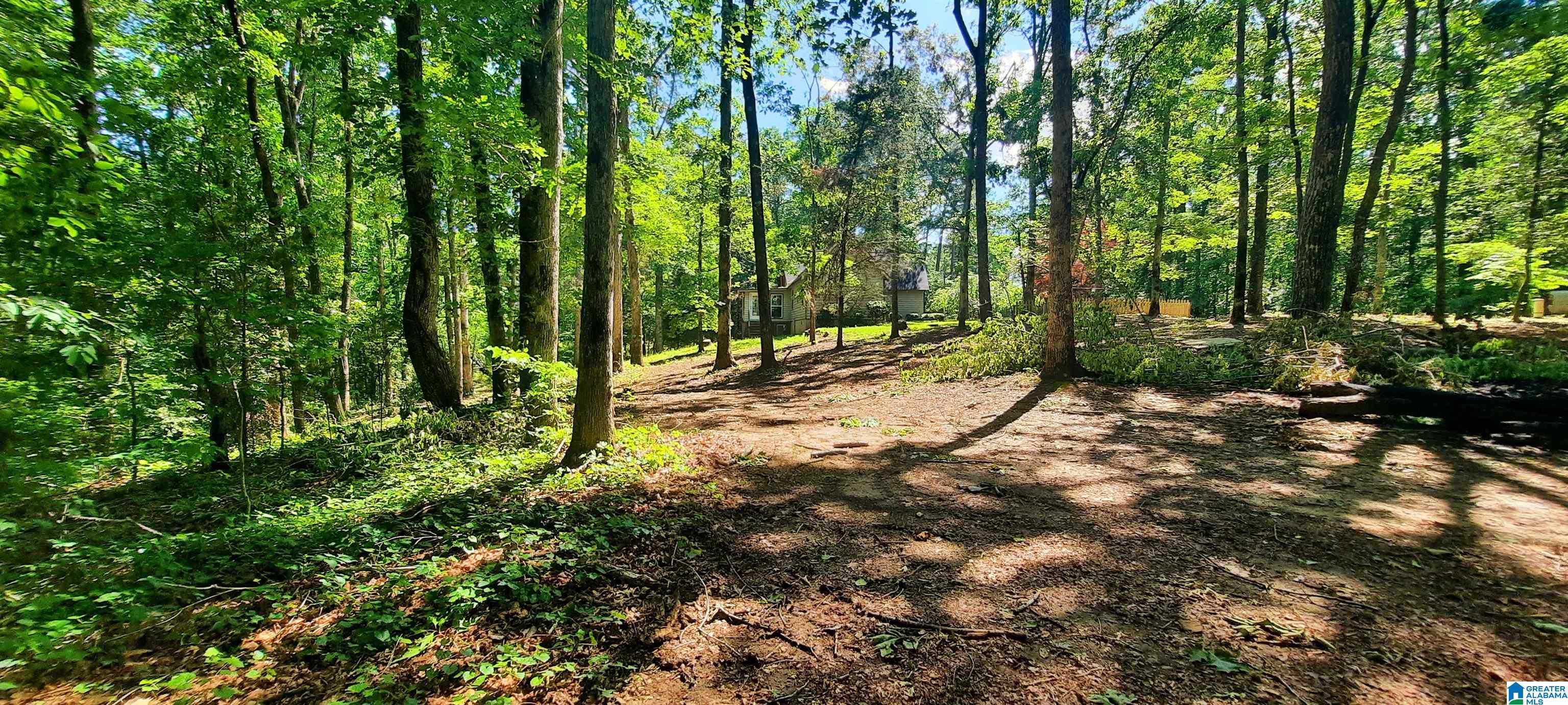 106 Roberts Circle Wedowee, AL 36278 - Photo 15 of 62
