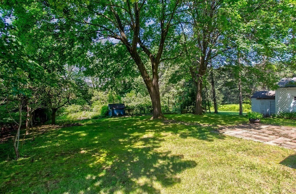 26 Shawsheen Road Bedford, MA 01730 - Photo 16 of 18 a view of a tree in a yard
