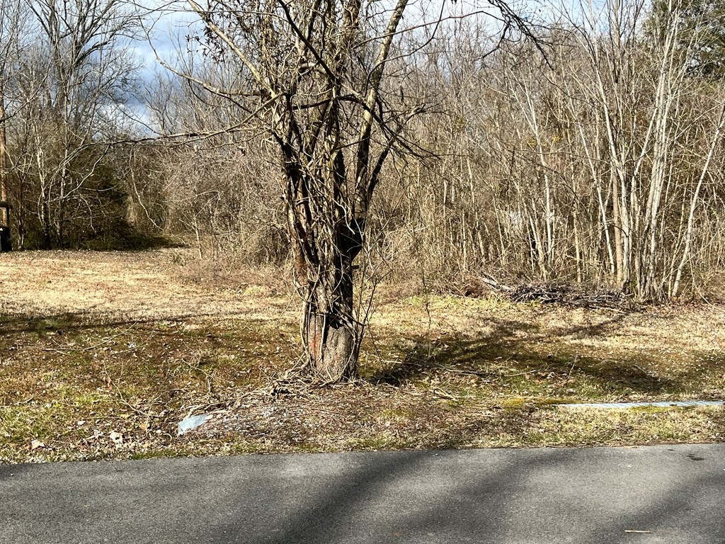 0 Shinbone Road Sevierville, TN 37876 - Photo 8 of 10