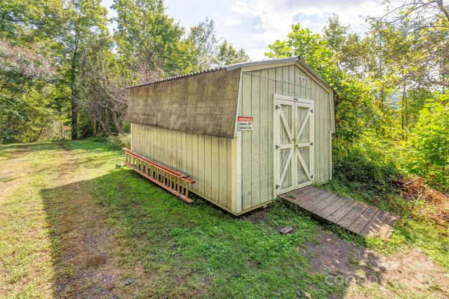 a view of a trees in a yard