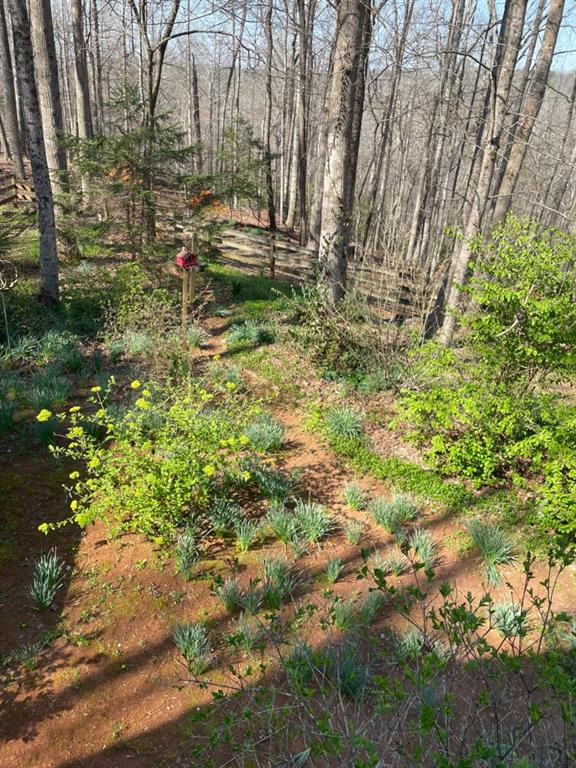 988 Rocktree Road Dahlonega, GA 30533 - Photo 46 of 53