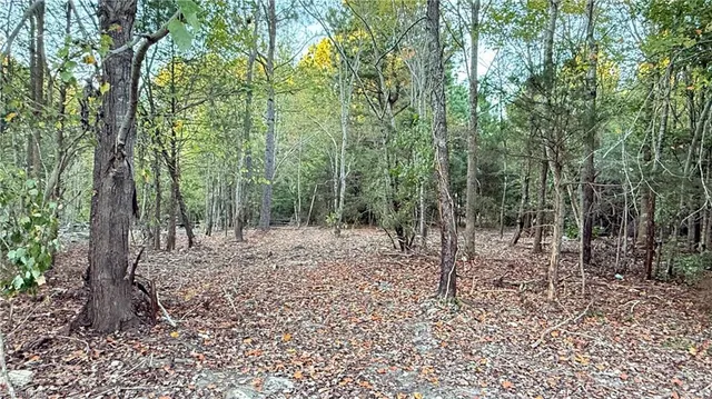 $174,900 | 5428 Gypsy Rose Drive, Liberty, NC 27298