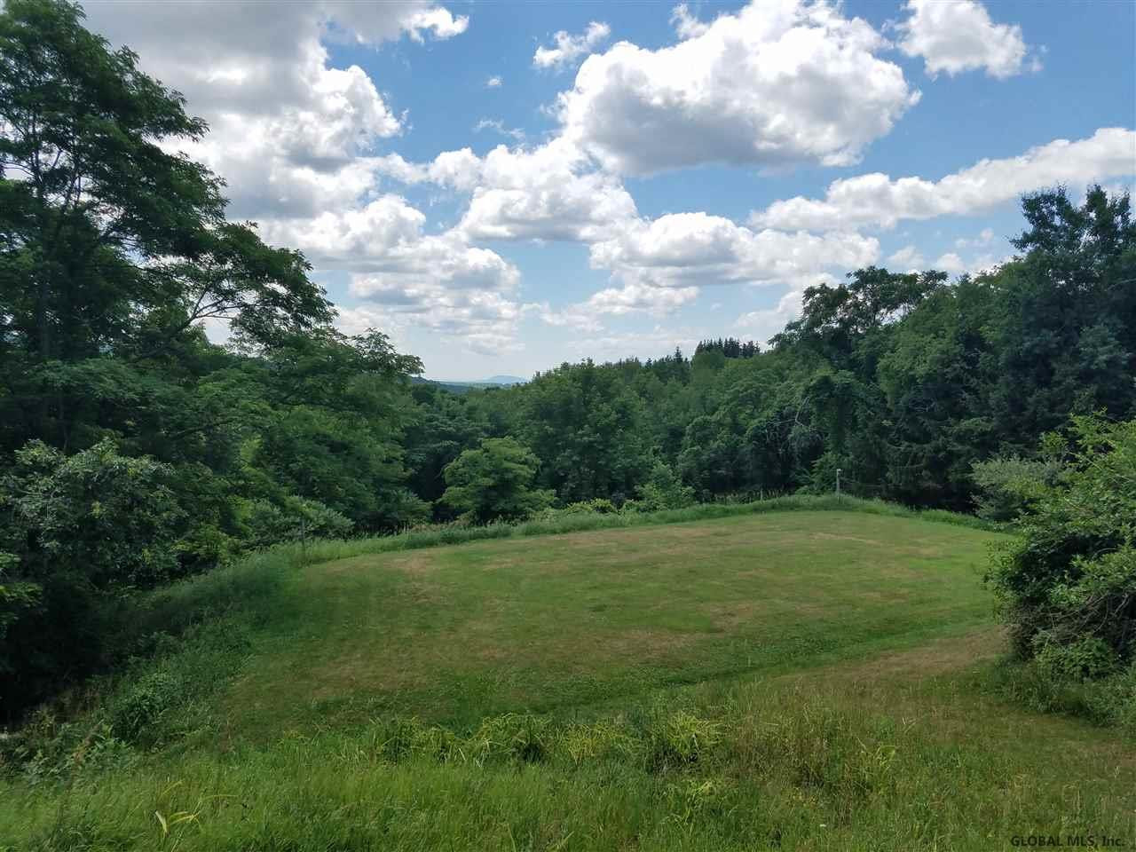 60 Pond Hill Road Rensselaerville, NY 12147 - Photo 25 of 37 Photo 25