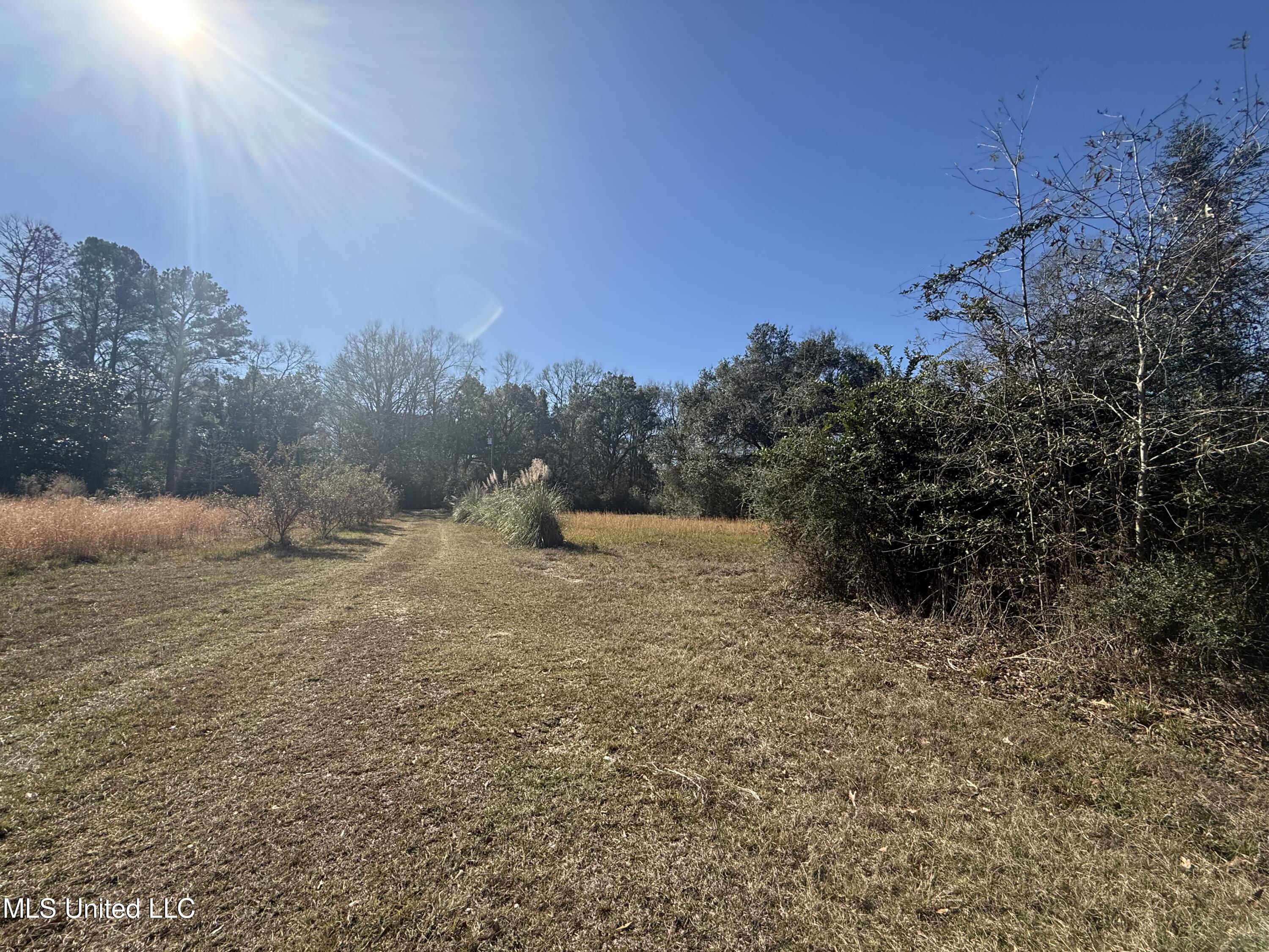 2412 D H Smith Road Vancleave, MS 39565 - Photo 10 of 32 IMG_9125