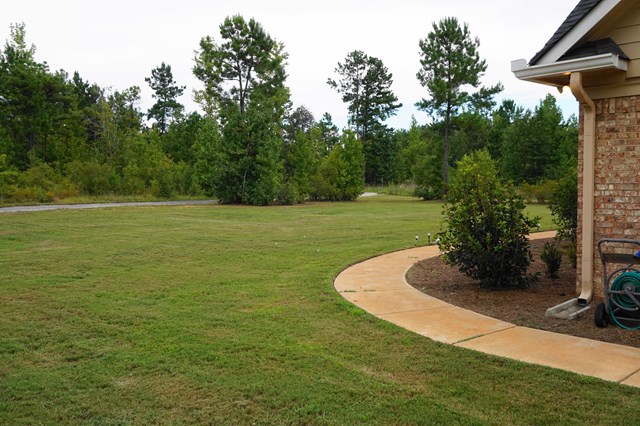 37 Copper Road Seale, AL 36875 - Photo 39 of 42 a view of a golf course with a garden