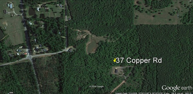 37 Copper Road Seale, AL 36875 - Photo 42 of 42 a view of a garden