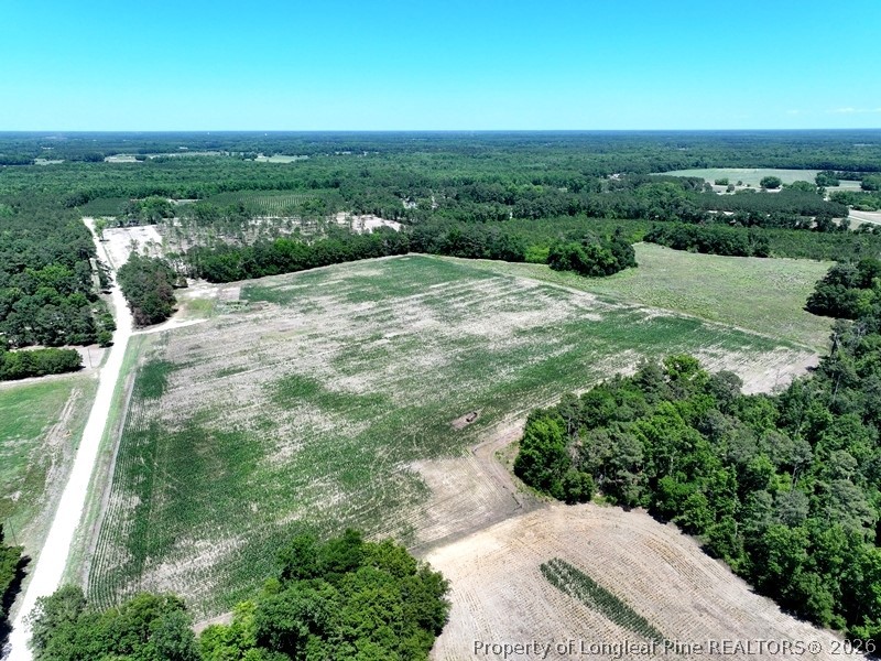 Sand Rock Road Fairmont, NC 28340 - Photo 1 of 16