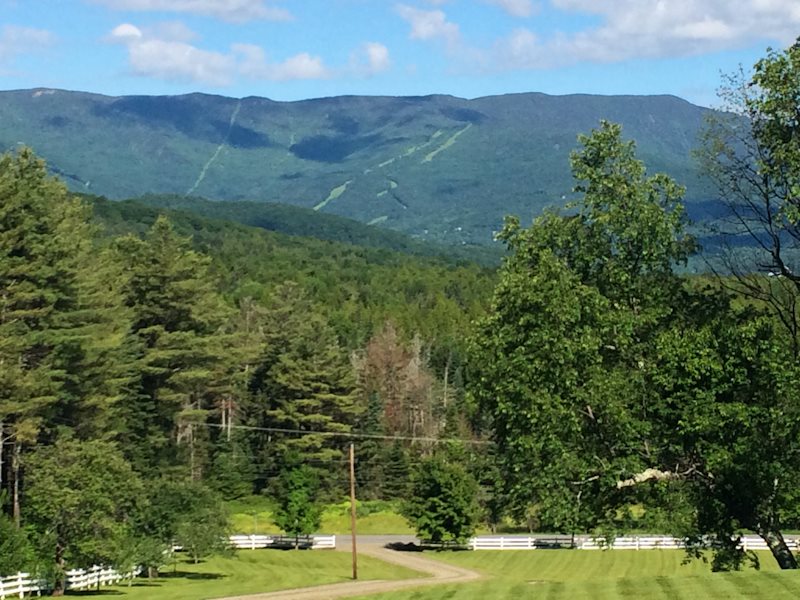 125 Breakaway Farm Road Warren, VT 05674 - Photo 8 of 40