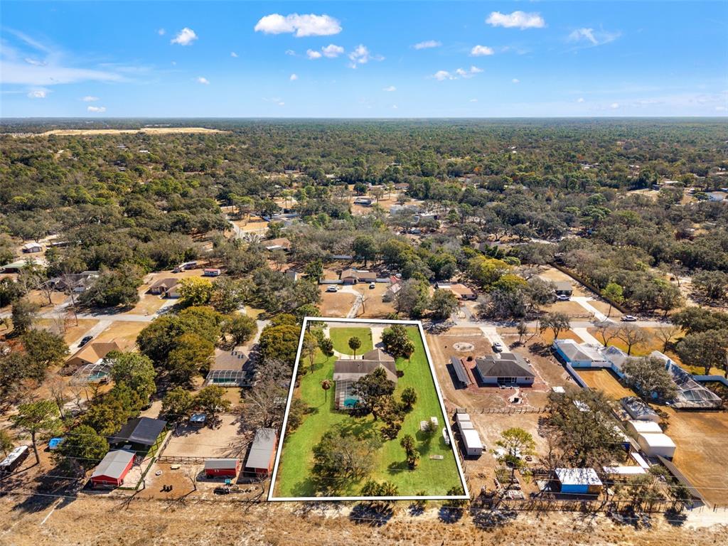 18723 Floralton Drive Spring Hill, FL 34610 - Photo 12 of 54