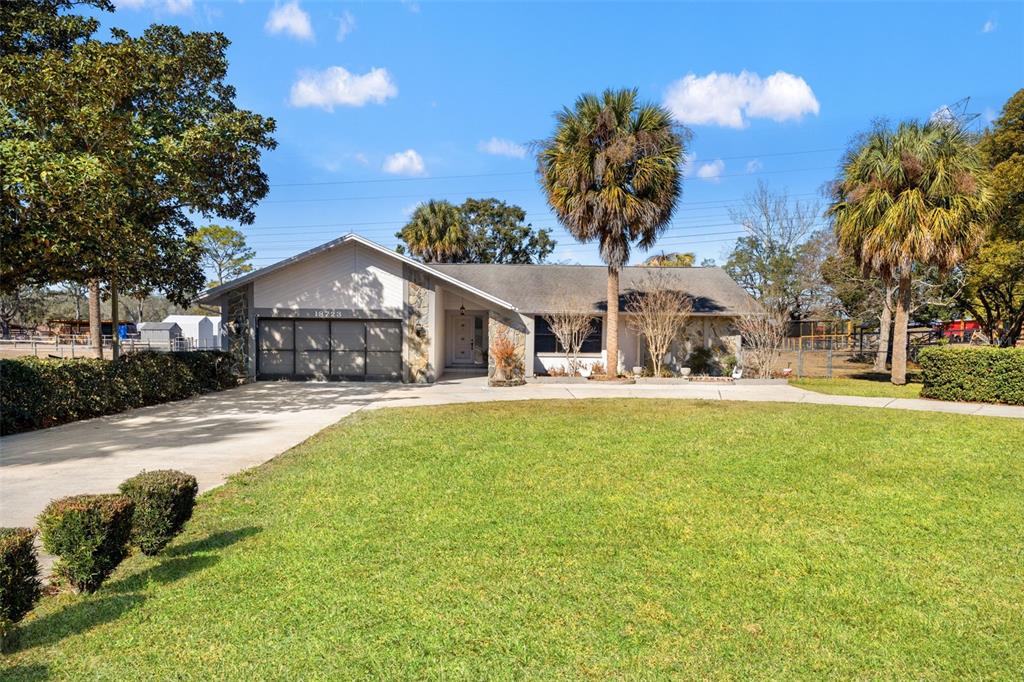 18723 Floralton Drive Spring Hill, FL 34610 - Photo 3 of 54