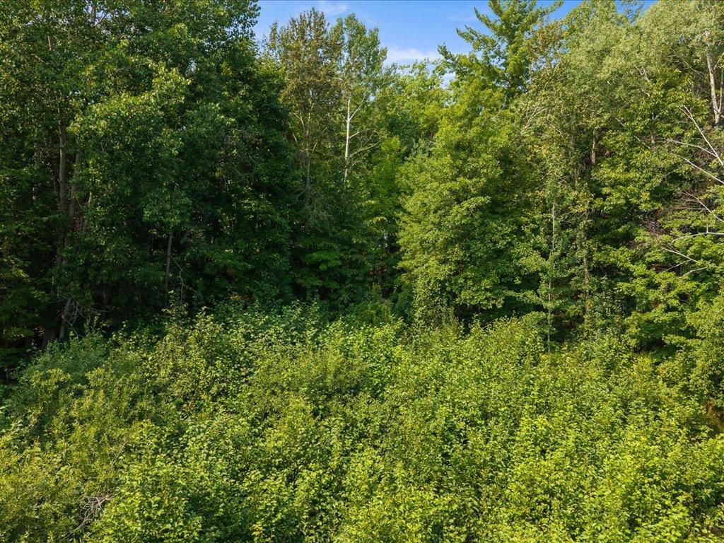 Tbd Breezy Point Road Northwest Walker, MN 56484 - Photo 12 of 15 Gallery Image 12