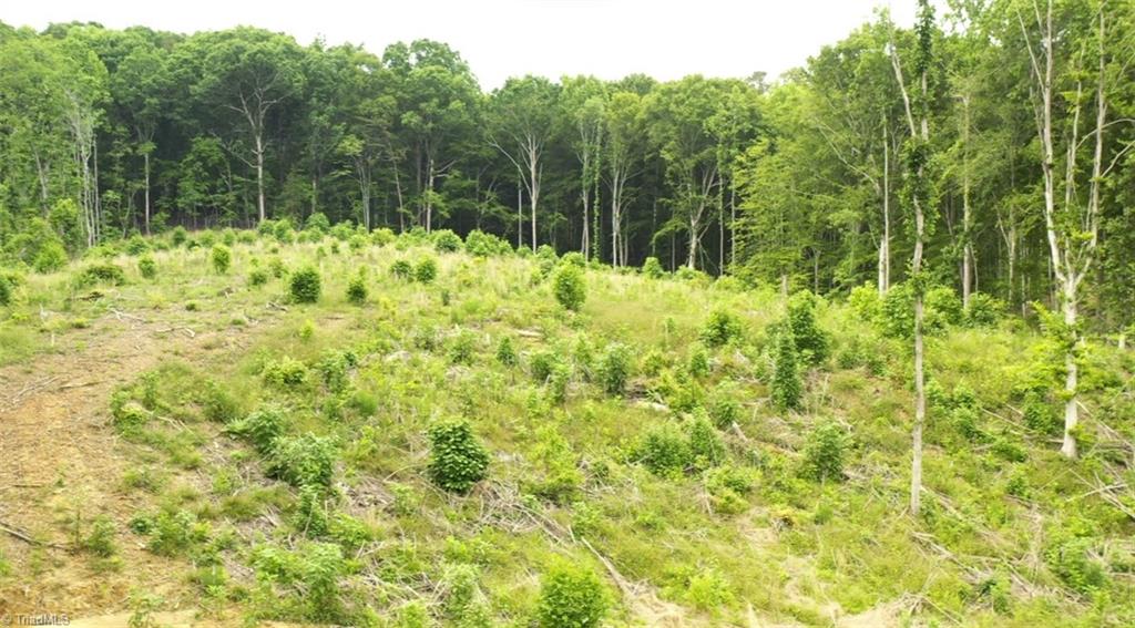 Lot 9 Skeens Mill Road Trinity, NC 27370 - Photo 3 of 10 Gallery Image 3