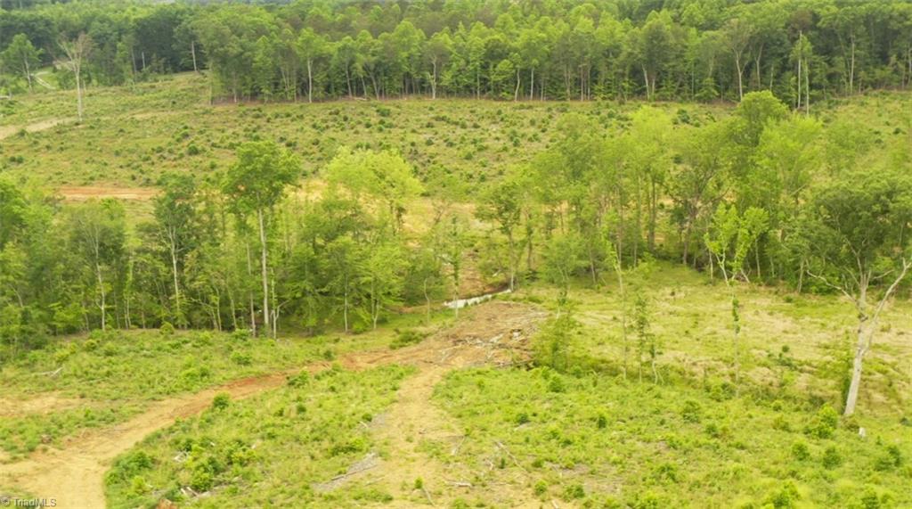 Lot 9 Skeens Mill Road Trinity, NC 27370 - Photo 10 of 10 Gallery Image 10