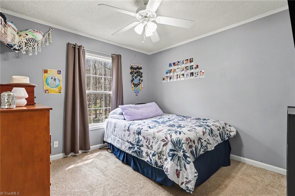 6555 Big Spring Road Snow Camp, NC 27349 - Photo 27 of 40