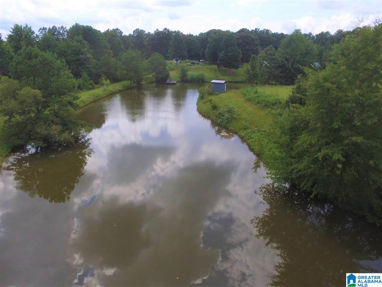 950 County Road 478, Unit 1 Clanton, AL 35046 - Photo 3 of 31