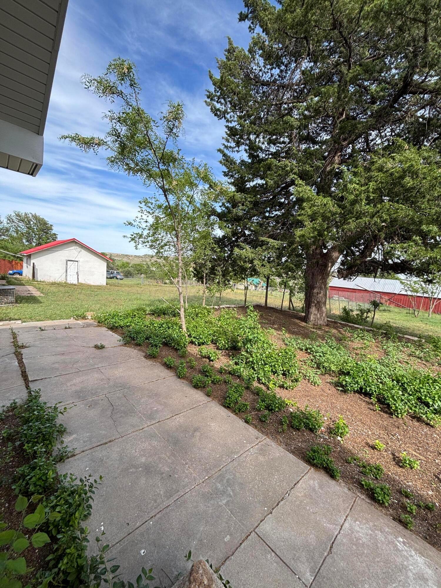 214 East Wichita Street Miami, TX 79059 - Photo 16 of 18 a view of street with a tree in the background