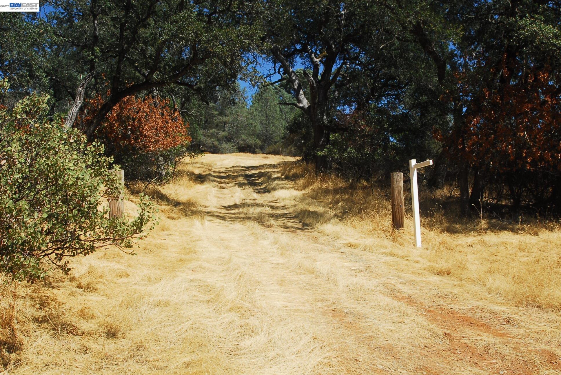 3341 Rancho Tierra Court Cameron Park, CA 95682 - Photo 1 of 28 a view of yard